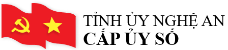 Cấp ủy số - Điều hành hoạt động cấp ủy